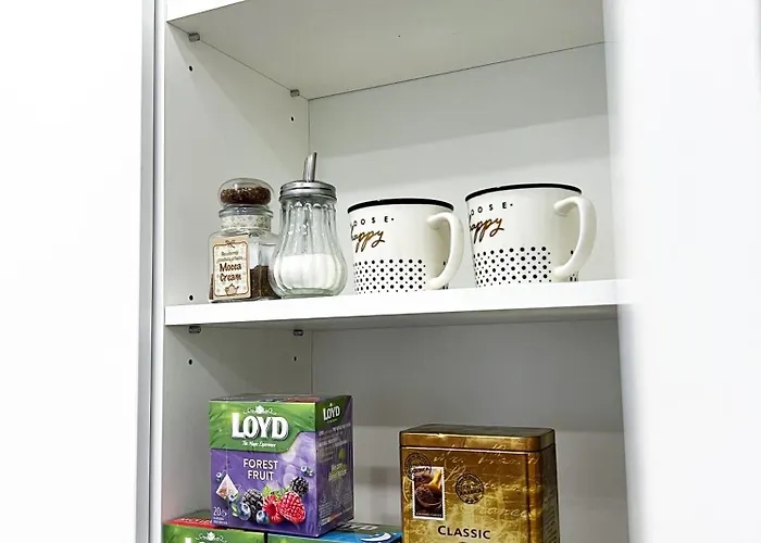 Centre Su Dideliu Tv * Klaipeda